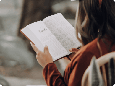 dspeckhardtbooks